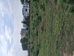 57 Sq.Yd. Plot in Sohna