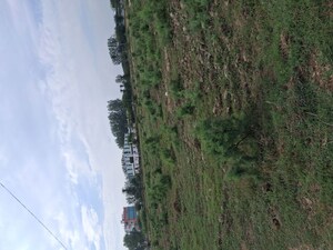 Plot Area in  Plot at Jharoda Kalan – for Sale