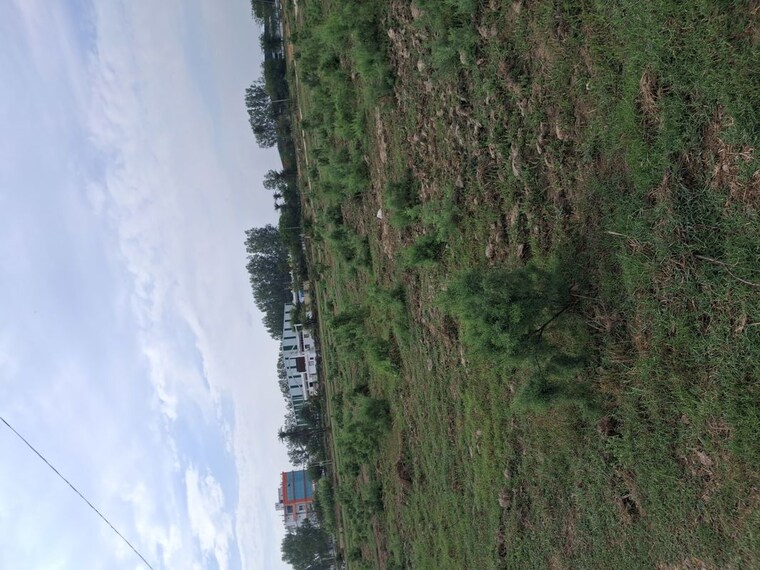 undefined, jharoda kalan  200 Sq.Yd. Plot In Jharoda Kalan Delhi 10606673