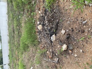  Plot For Sale in Nandigam