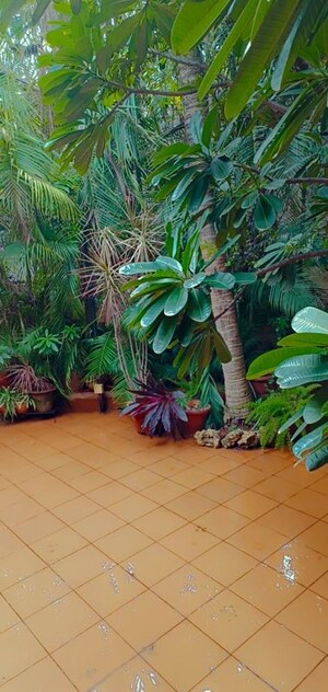 Studio Villa – Garden View at Siddharth Palace Kalyani Nagar, Kalyani Nagar - for Rent