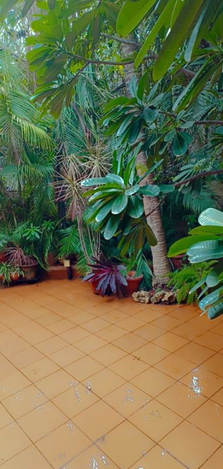 Garden, siddharth-palace-kalyani-nagar Studio 450 Sq.Ft. Villa In Kalyani Nagar Pune 10606787