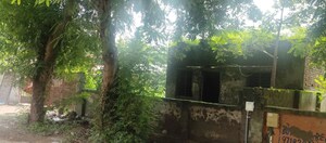  Plot For Sale in Sector 37