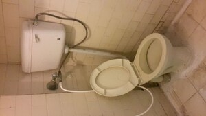 Bathroom in  Pg at Rt Nagar – for Rent
