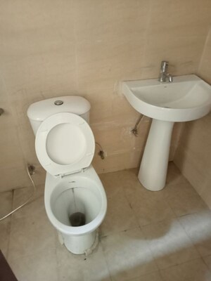 Bathroom in 3.5 BHK Apartment at Amrapali Terrace Homes, Tech Zone 4 Greater Noida – for Rent