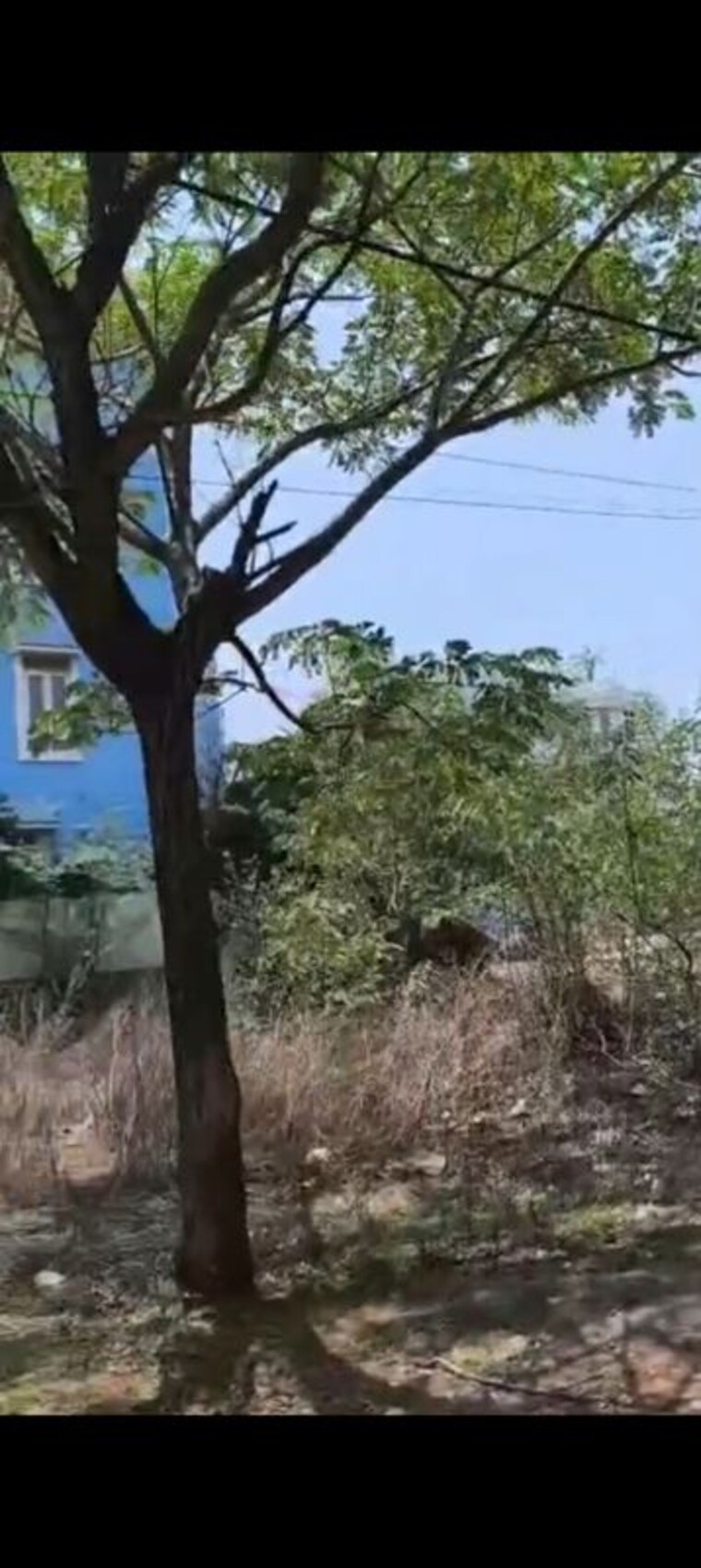 Garden, hemadri-residency-kondapur  278 Sq.Yd. Plot In Kondapur Hyderabad 10606984