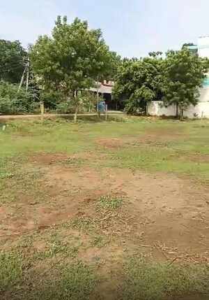  Plot For Sale in Vasan City