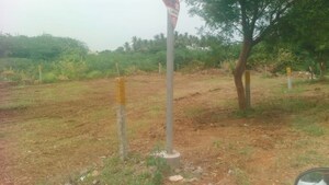 Plot Area in  Plot at Vasan City – for Sale