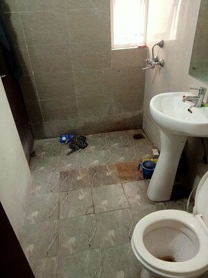 Bathroom in 3 BHK Apartment at Amrapali Terrace Homes, Tech Zone 4 Greater Noida – for Rent
