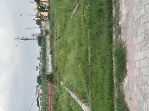  Plot For Sale in Basant Kunj