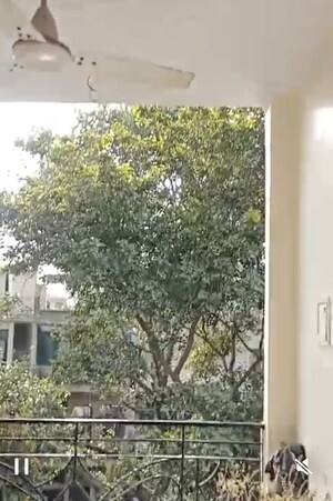 2 BHK Builder Floor – Garden View at Subhash Nagar - for Rent