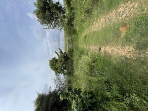  Plot For Sale in Aero Mini CIty, Devanahalli