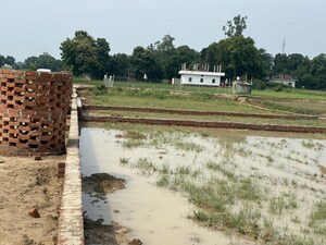 Plot Area in  Plot at Harhua – for Sale