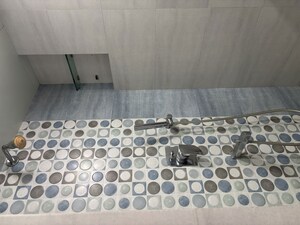 Bathroom in 2 BHK Apartment at Bhairav Darshan, Parel – for Rent