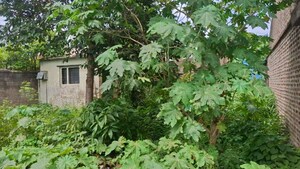  Independent House – Exterior View View at Shiroli - for Sale