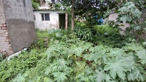  Independent House – Exterior View View at Shiroli - for Sale