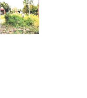  Land For Sale in Kalyanpur