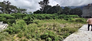 Plot Area in  Plot at Salan Gaon – for Sale