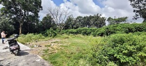  Plot For Sale in Salan Gaon