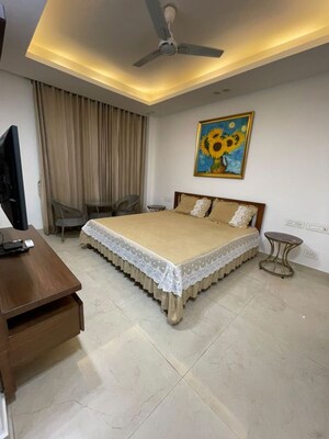 Living Room in 3 BHK Builder Floor at Sector 27 – for Rent