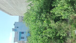 Plot Area in  Plot at Malviya Nagar – for Sale
