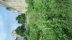  Plot For Sale in Malviya Nagar