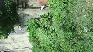 Plot Area in  Plot at Gandhi Nagar – for Sale