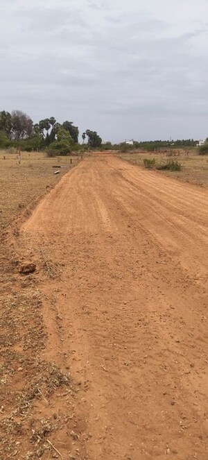  Plot For Sale in Panjappur