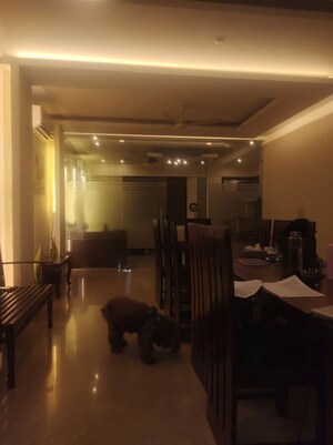 Living Room in 4 BHK Builder Floor at New Friends Colony – for Rent