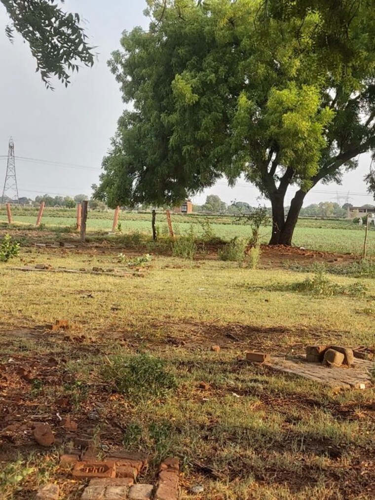 undefined, saimari  150 Sq.Yd. Plot In Saimari Agra 10608197