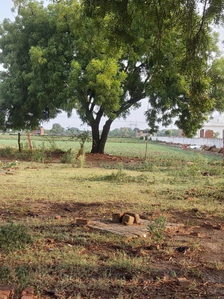 undefined, saimari  150 Sq.Yd. Plot In Saimari Agra 10608197