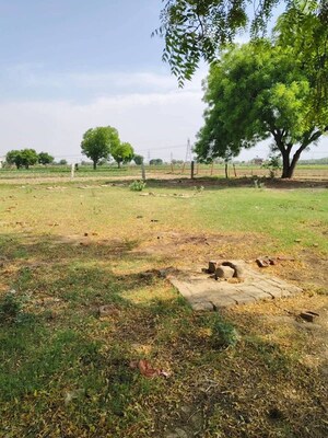 Plot Area in  Plot at Saimari – for Sale
