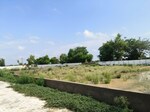 111 Sq.Yd. Plot in Rohta