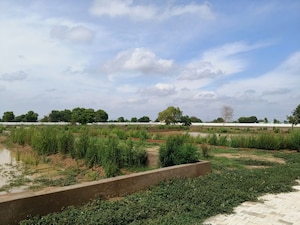 Plot Area in  Plot at Rohta – for Sale