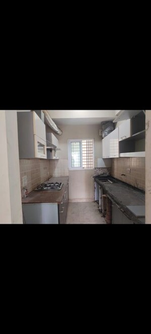 Kitchen in 2.5 BHK Apartment at Mahagun Moderne, Sector 78 – for Rent