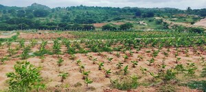  Plot For Sale in Whitefield
