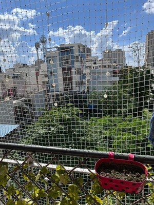 Swimming Pool in 3 BHK Apartment at Sumukha Maple Grove, Akshayanagar – for Sale