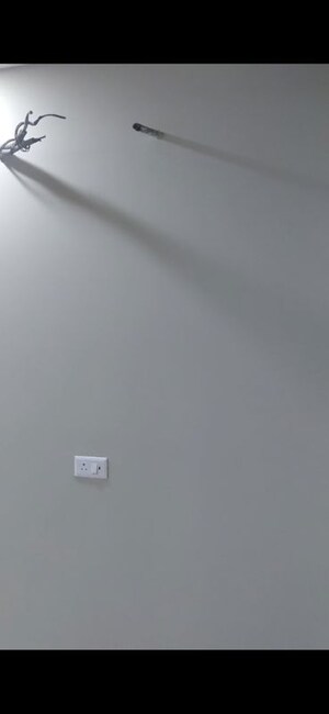 Furnished Amenities in 4 BHK Builder Floor at Sector 16 – for Rent