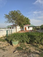 80 Sq.Yd. Plot in Jait