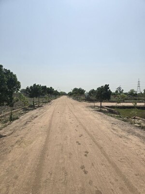 Plot Area in  Plot at Jait – for Sale