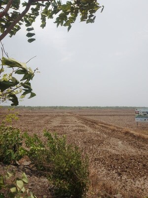 Plot Area in  Plot at Dahivali – for Sale