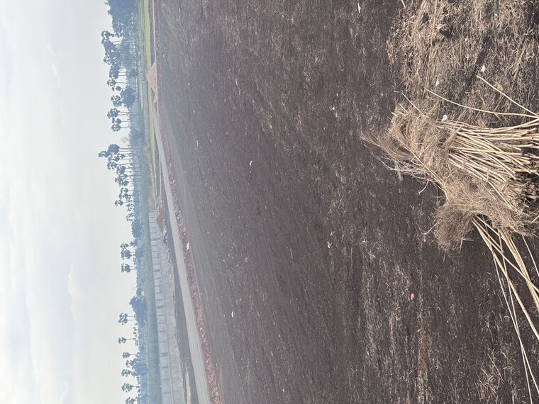 undefined, nepalle  183 Sq.Yd. Plot In Nepalle Vijayawada 10609469