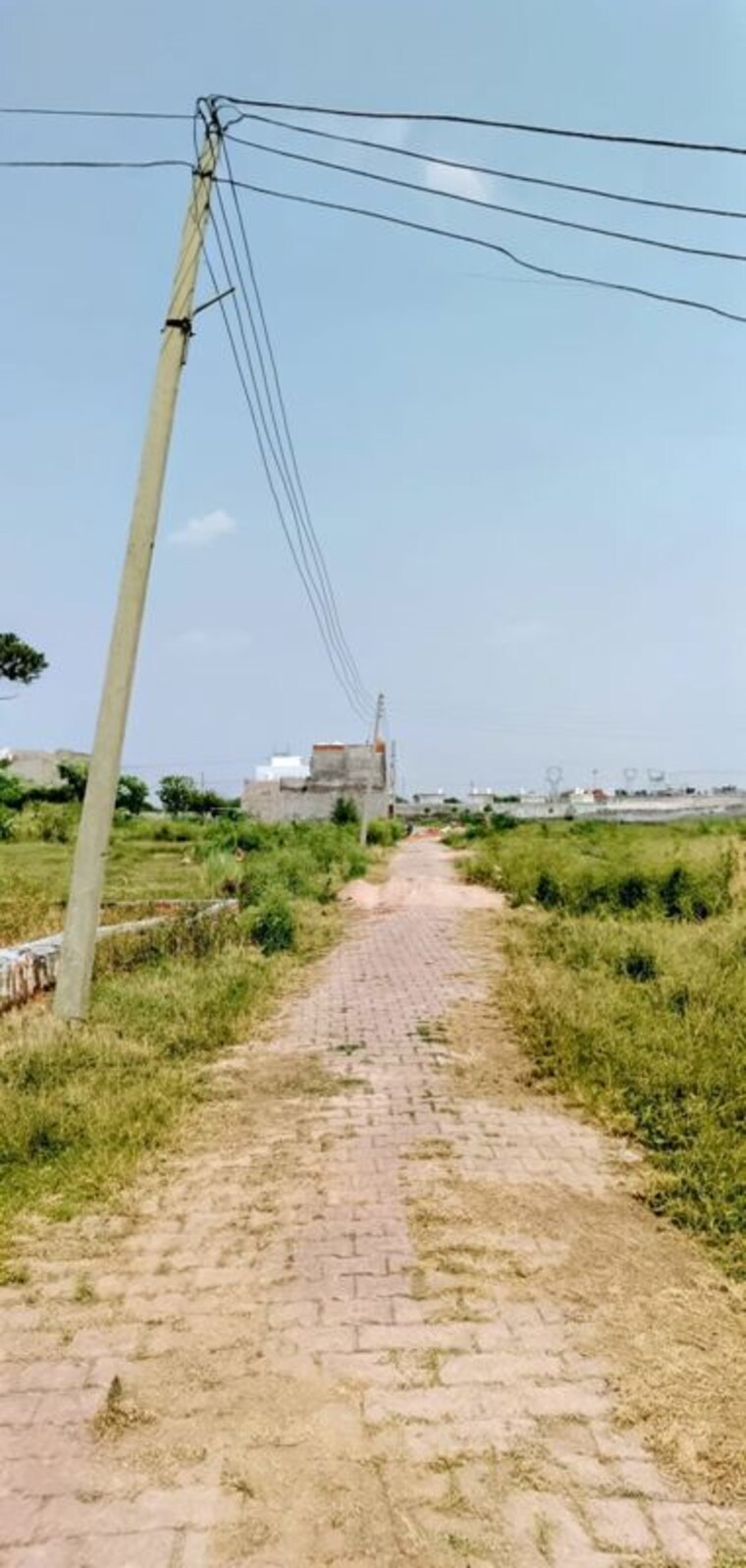 undefined, barsana  100 Sq.Yd. Plot In Barsana Vrindavan 10609641