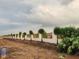Plot Area in  Plot at Chhata – for Sale