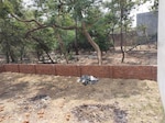 2000 Sq.Ft. Plot in Indira Nagar