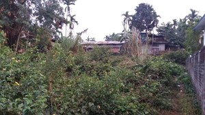  Plot For Sale in Pator Kuchi