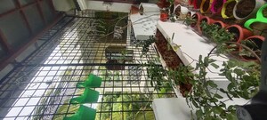 Balcony in 6+ BHK Independent House at Prashasan Nagar – for Sale