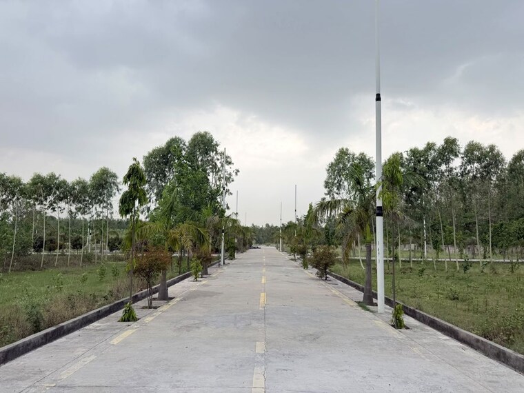 undefined, biharigarh  222 Sq.Yd. Plot In Biharigarh Dehradun 10610140