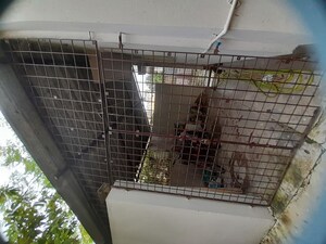  2 BHK Apartment at Srinagar – for Sale