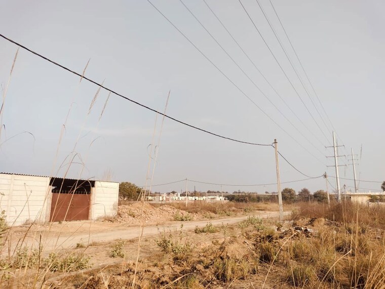 undefined, sarojini nagar  1000 Sq.Ft. Plot In Sarojini Nagar Lucknow 10610294